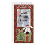 Christmas Joy, Dog & Cat Custom Photo Cards, Vert.