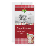 Christmas Kitten Cat Gingham Check Photo Card