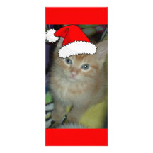 Christmas Kitten Full Color Rack Card