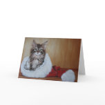 Christmas Kitten Greeting Card