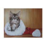 Christmas Kitten Postcard