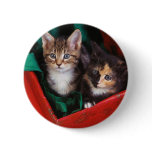 Christmas Kittens