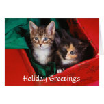 Christmas Kittens Cards