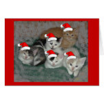 Christmas kittens greeting card