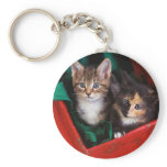 Christmas Kittens