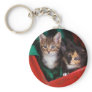Christmas Kittens