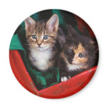 Christmas Kittens