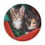 Christmas Kittens