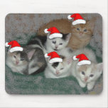 Christmas kittens mousepads