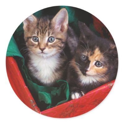 Christmas Kittens Round Sticker by MuseMagic