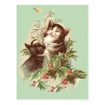 Christmas Kittens with Holly on Holiday Cards Postcards
