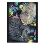 Christmas Kitties Postcard