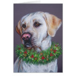 Christmas Lab Cards