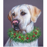 Christmas Lab Photo Cut Outs
