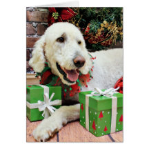 Christmas - LabraDoodle - Davis Greeting Cards