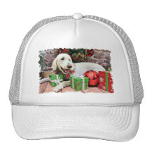 Christmas - LabraDoodle - Davis Mesh Hat