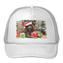 Christmas - LabraDoodle - Harley Hats