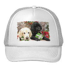 Christmas - LabraDoodle Miller - Golden Retriever Mesh Hat