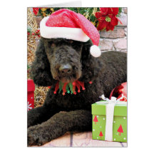 Christmas - LabraDoodle - Miller Greeting Cards