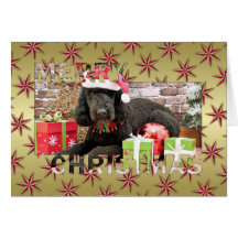 Christmas - LabraDoodle - Miller Greeting Cards