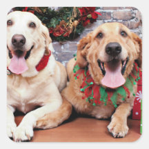 Christmas - Labrador Ally - Golden Retriever Wrigl Sticker