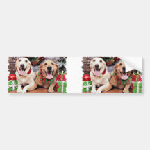 Christmas Labrador Ally - Golden Retriever Wrigley Bumper Sticker