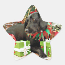 Christmas - Labrador Golden X - Abby Star Stickers