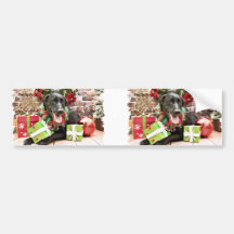 Christmas - Labrador - Gracie Bumper Stickers