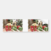 Christmas - Labrador - Jackson Bumper Stickers