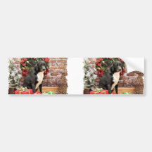 Christmas - Labrador - Joplin Bumper Sticker
