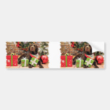 Christmas - Labrador - Lady Bumper Stickers