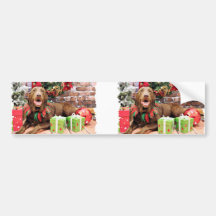 Christmas - Labrador - Lucy Bumper Stickers