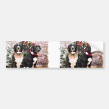 Christmas - Labradors - Joplin and Lennon Bumper Stickers