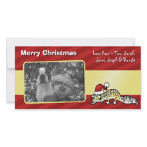 Christmas Leopard Gecko