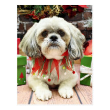 Christmas - Lhasa Apso - Taz Post Cards