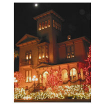Christmas Lights House Personalized Flyer