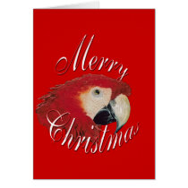 Christmas Macaw cards