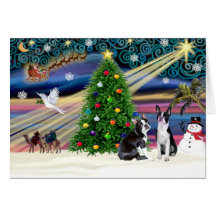 Christmas  Magic-Boston Terrier (2) Cards