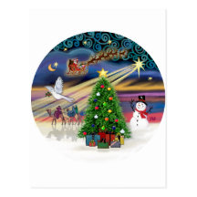Christmas Magic Postcard