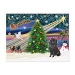 Christmas Magic Schipperke Postcard