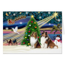 Christmas Magic Shetland Sheepdogs (2 Sable) Greeting Cards