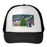 Christmas Magic Tibetan Terrier (black-white) Mesh Hats