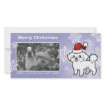Christmas Maltese (puppy cut)
