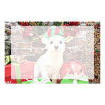 Christmas - Maltese - Quinn Custom Stationery