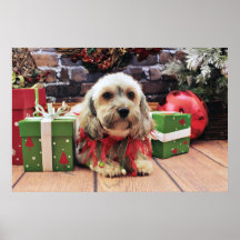 Christmas - Mixed Breed - Ginger Poster