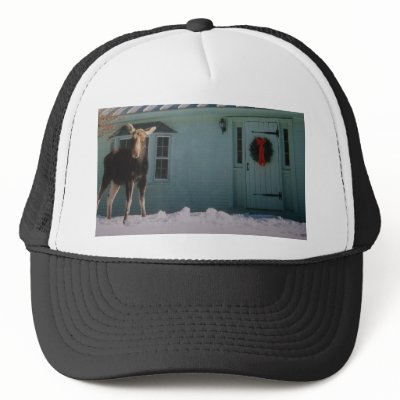 CHRISTMAS MOOSE TRUCKER HATS by maggiefromutah