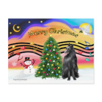 Christmas Music 2 - Belgian Sheepdog