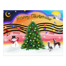 Christmas Music 2 - Chinese Crested (2 HL) Postcards