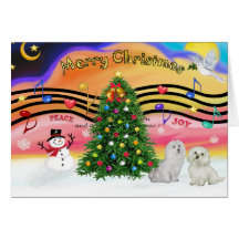 Christmas Music 2 - Maltese (two) Greeting Card
