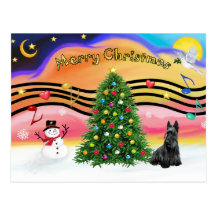 Christmas Music 2 - Scottish Terrier Postcard